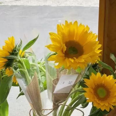 至尊大卡车3无敌版